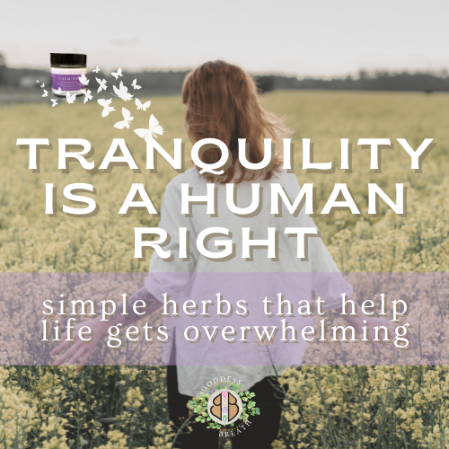Tranquility Is A Human Right