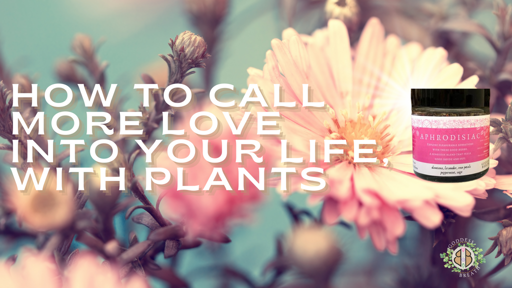 Calling More Love Into Your Life, With Plants