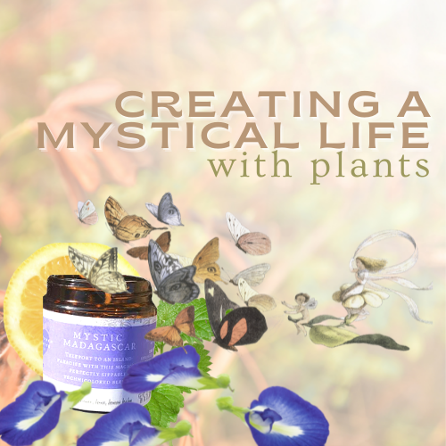A Mystical Life with Plants