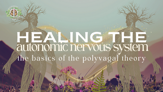 Healing the Autonomic Nervous System -- the basics of the polyvagal theory